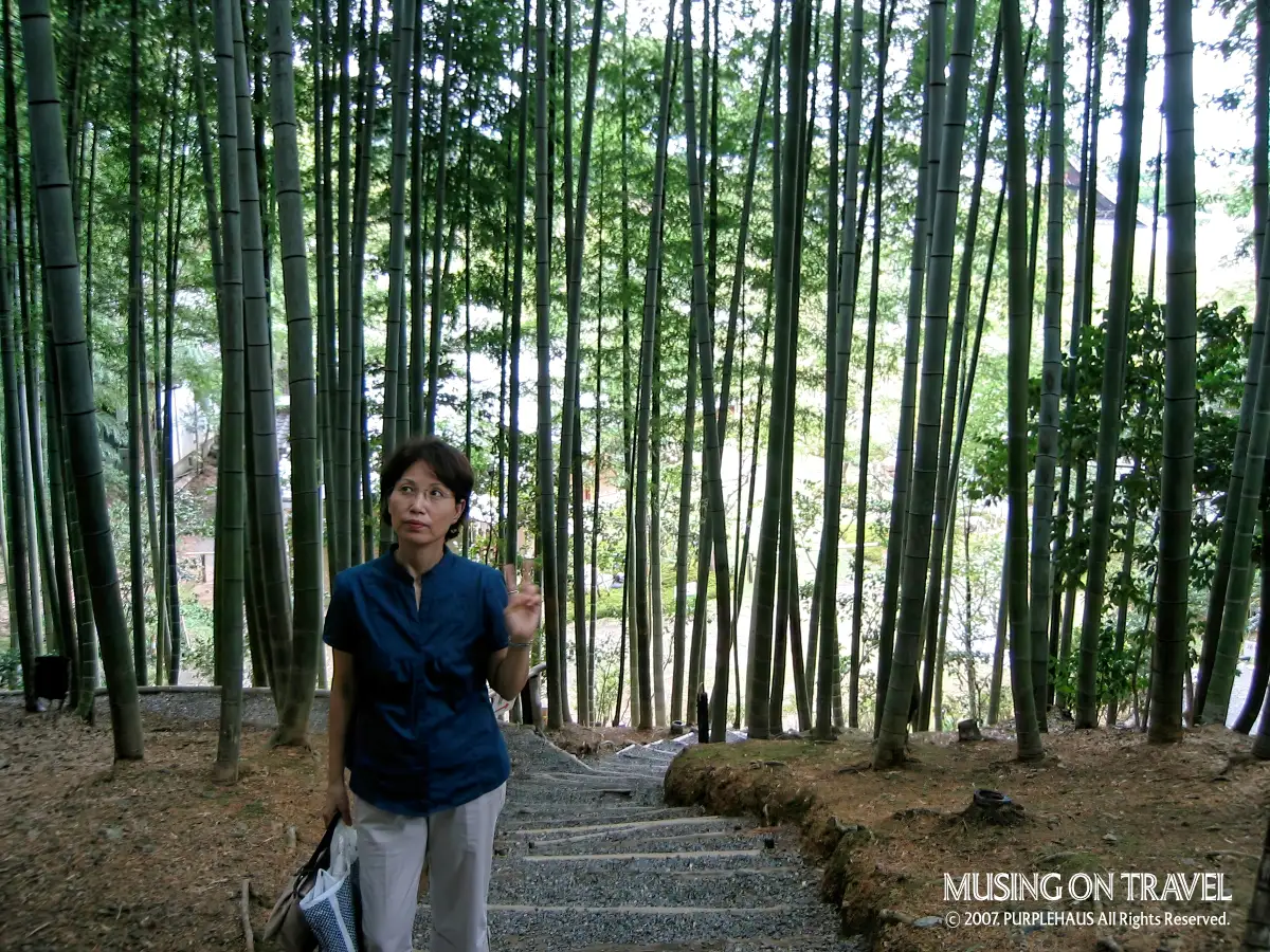교토 고다이지 죽림