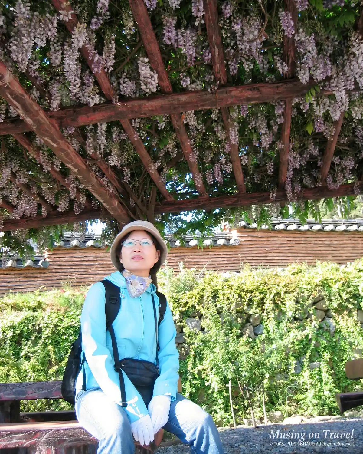 연화도 연화사 등나무 그늘