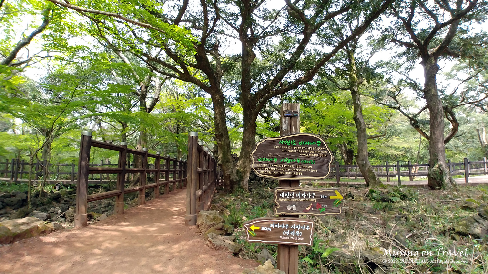 제주 관광지 순환버스 타고 비 오는 날 제주 여행