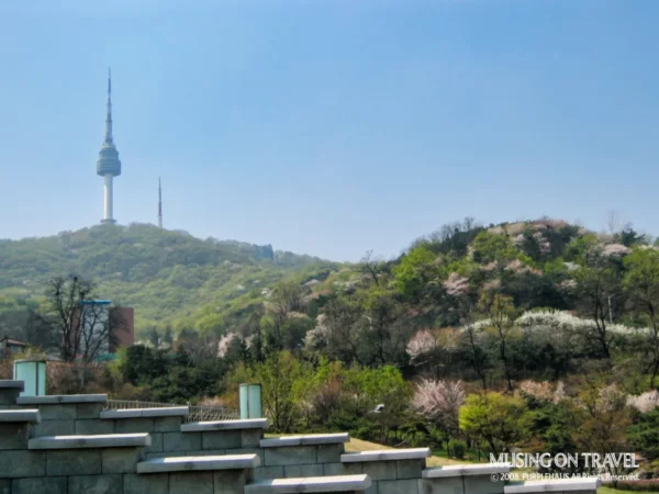 타임캡슐 공원에서 본 남산타워