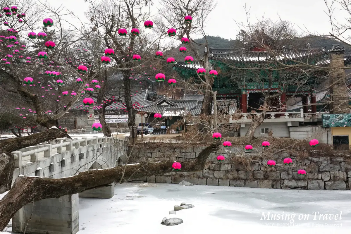 겨울 마곡사 산책: 공주시 3대 사찰