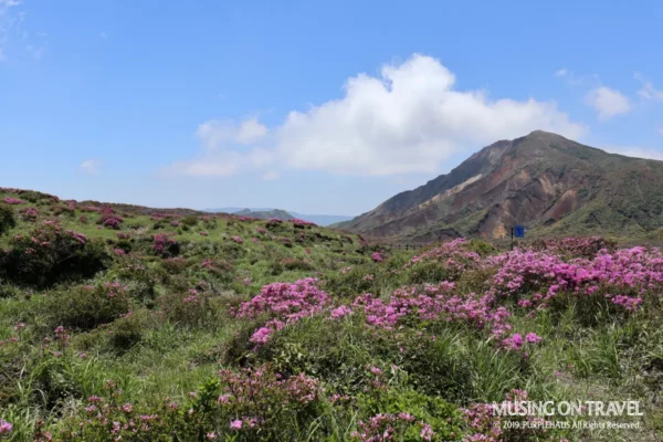 아소산 로프웨이 정류장 근처 산책로